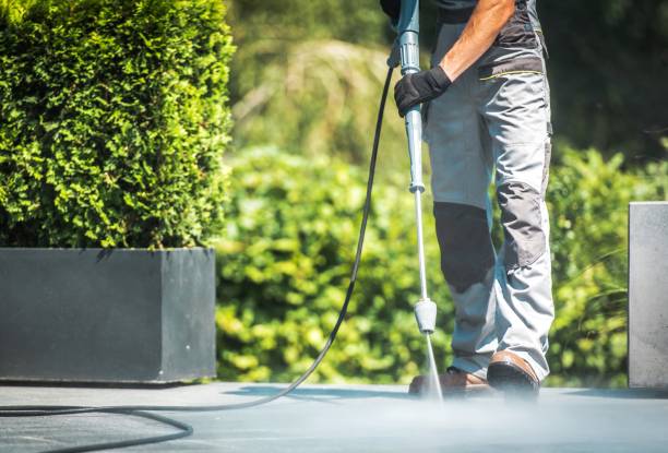 Best House Exterior Washing  in Weatherby Lake, MO